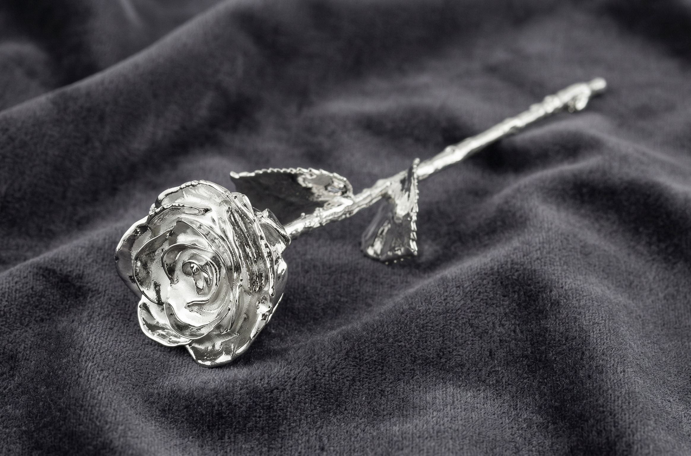 Silver Rose